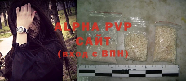 прущие грибы Наволоки