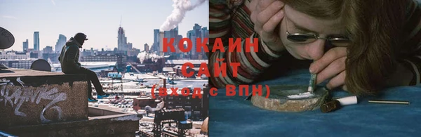 индика Надым
