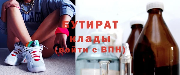 индика Надым