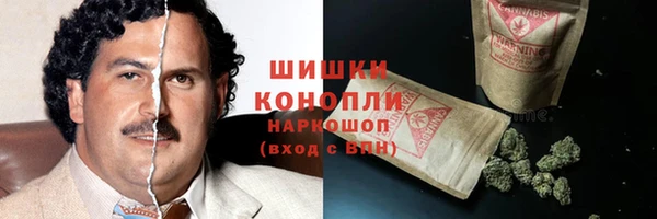 индика Надым