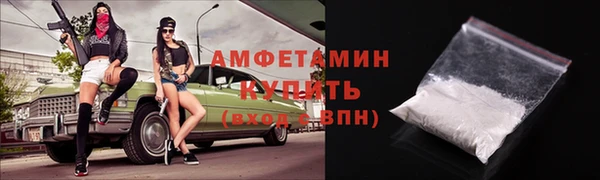 индика Надым