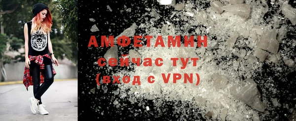 прущие грибы Наволоки
