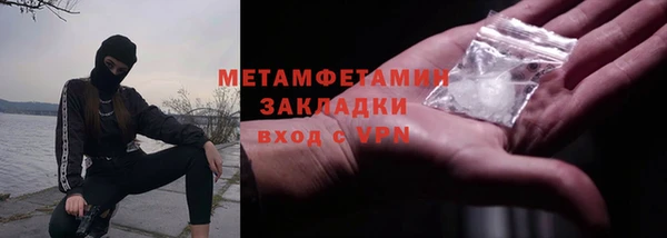 прущие грибы Наволоки