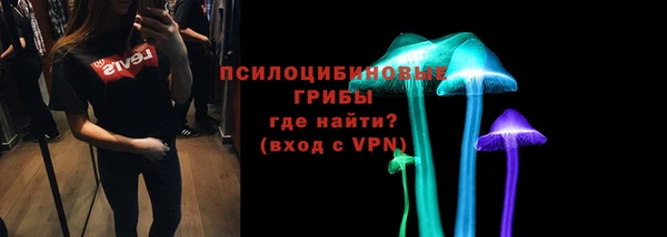 прущие грибы Наволоки