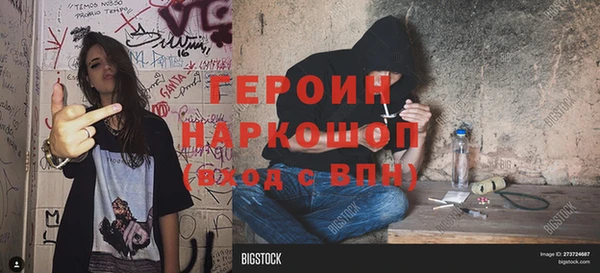 индика Надым