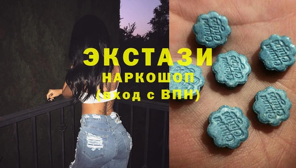 прущие грибы Наволоки