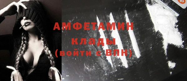 индика Надым